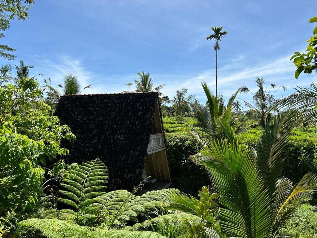 Jero Tumbuk Private Villa Selat Exterior foto